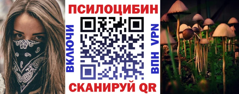 Псилоцибиновые грибы Psilocybe  omg ТОР  Дальнереченск  даркнет сайт 